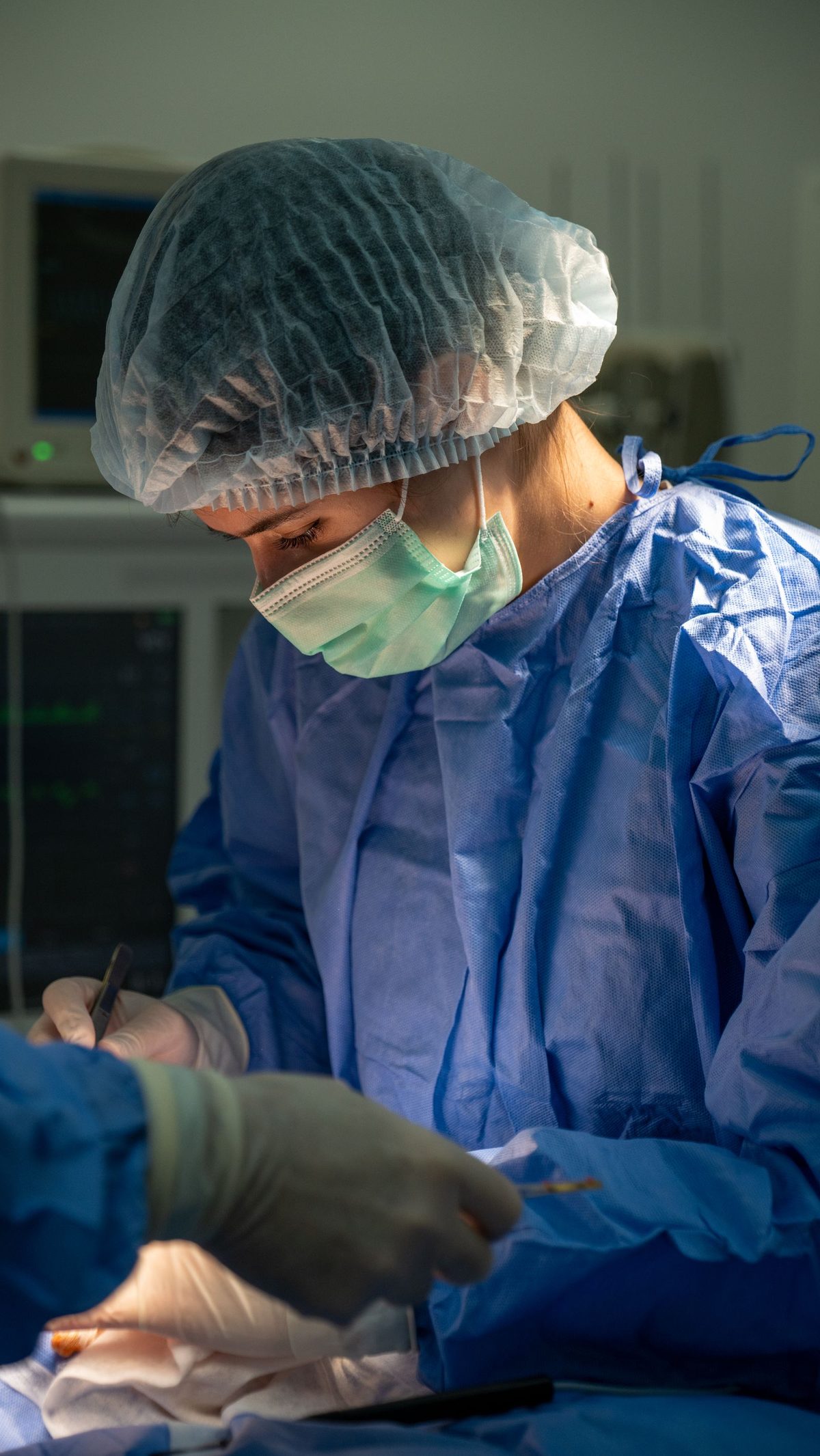Equipe cirúrgica veterinária operando um cão em centro cirúrgico