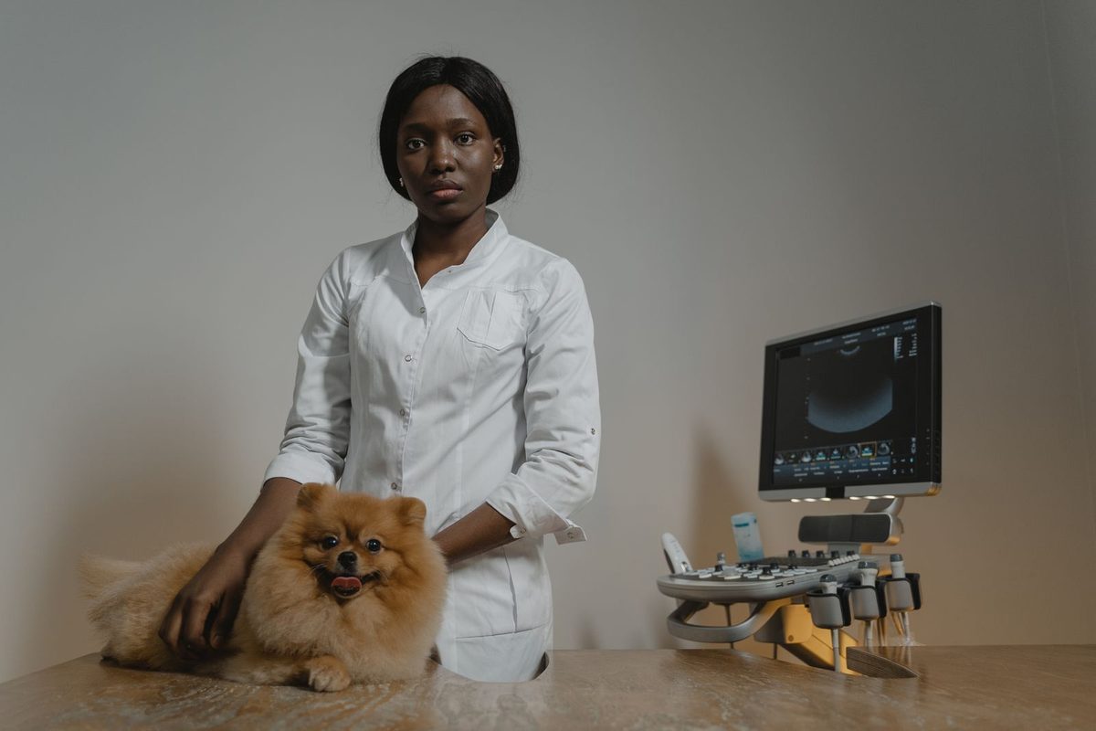Profissional analisando amostras em laboratório veterinário
