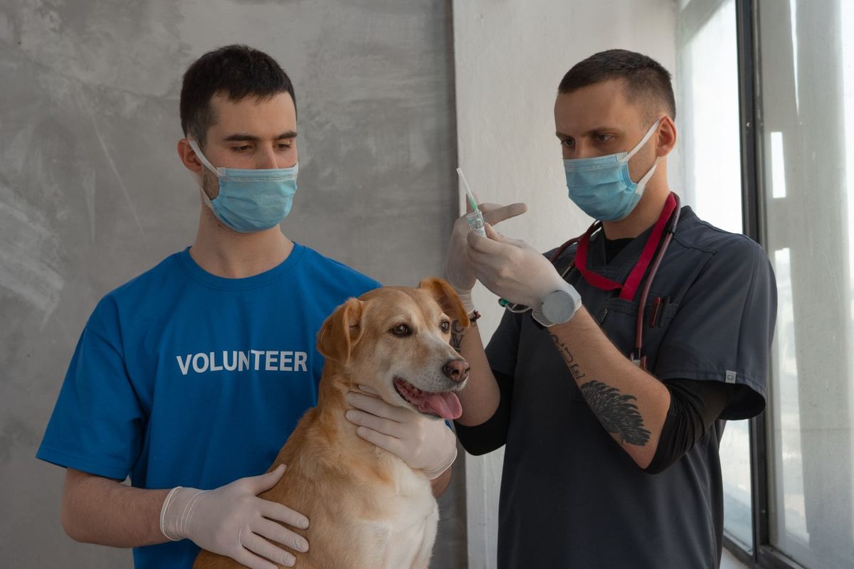 Veterinária aplicando vacina em um filhote no colo do tutor